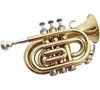 Trombe, Mini tromba professionale Golden Palm Trumpet Pocket Trumpet Instrument B-flat Beginner Grade Test Band Playing