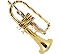 Trombe, Mini tromba professionale Lacca in si bemolle Tasca d'oro Tromba Fluger Ottone Musica Principiante Esame di grado Suonare la tromba