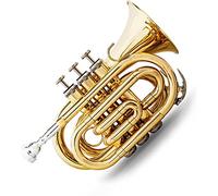 Trombe, Mini tromba professionale Mini tromba tascabile Flat B Bb Ottone Strumento a fiato Tromba da viaggio Finitura laccata di qualità con bocchino