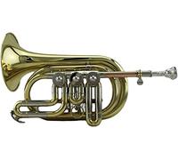 Trombe, Mini tromba professionale New Brass Tube Body Paint Gold B-tune Brass Instrument Rotary Valve Pocket Trumpet Palm Trumpet Cornet