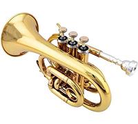 Trombe, Mini tromba professionale New Palm Trumpet Portable Travel Pocket Tromba Strumento B-flat Pocket Corner Brass Instrument