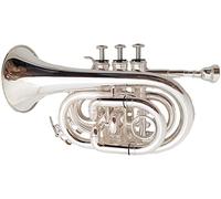 Trombe, Mini tromba professionale Strumento da gioco professionale Tromba in miniatura B Tromba da tasca piatta Strumento for tromba da palmo in lega di nichel argento