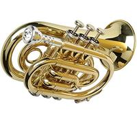 Trombe, Mini tromba professionale Tromba professionale in si bemolle Tromba da palmo Tromba da tasca Mini tromba Cornetto Tre tasti Tromba piccola Tritono
