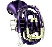 Trombe, Mini tromba professionale Tromba tascabile professionale Flat B Bb Tone Strumento a fiato in ottone con custodia for guanti bocchino(2)