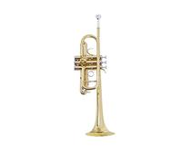Trombe Ottone Tromba Principiante Prestazioni Esame Grado Alto Passo C Tromba Strumento