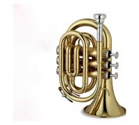 trombe per adulti Portatile Tromba B Flat Palm Tromba Tasca Cornetta Ottone Strumento Studente
