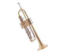 trombe per adulti strumento tromba per principianti studente B piatto prestazioni professionali band tromba strumento in ottone (colore: 02)