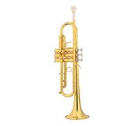Trombe Piccolo Pistone Piston B-flat Laccato Oro/Argento Placcato strumento a tromba