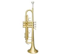 Trombe Piccolo Strumento Musicale Professionale B Trombet Tromba strumento a tromba