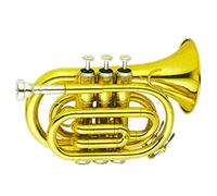 Trombe Pocket In Oro Pocket Tromba Brass Body Cupronickel Valvole Tone BB strumento a tromba