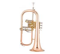 Trombe Prestazioni Professionali Dello Strumento Di Tromba A Tre Chiave In B strumento a tromba (Color : Phosphor bronze rose gold)