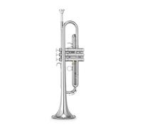 Trombe Principiante di tromba in si bemolle che suona una banda professionale per l'esame di valutazione strumento a tromba (Color : Silver)