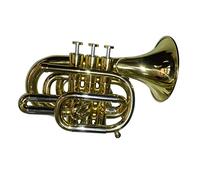 Trombe Professionale Oro Lacca Tasca Tromba Tono Sib Tromba Strumento