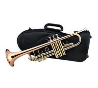 Trombe Professionale Piccolo Fosforo Bronzo Tubo Corpo Cupronickel Diafonico Tubo Tromba Strumento