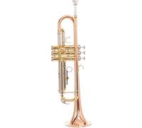 Trombe Professionale Tricolore Strumento Tromba Bronzo Fosforoso In B Piatto Per Principianti Tromba Strumento