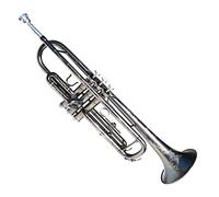 Trombe Strumento Di Tromba Dello Studente Standard Strumento Professionale Performance Adult Bobs Adult Band Band Brass Brass Brass Brass Brass strumento a tromba