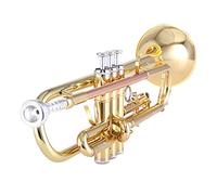 Trombe Strumento Di Tromba In Ottone Fosforo In BB Tromba Piana Brass In Ottone In Ottone In Ottone In Ottone In Ottone Per Principianti strumento a tromba (Color : 2)