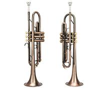 Trombe Strumento Di Tromba Nella Tromba Del Vento Piatto B strumento a tromba