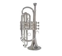 Trombe Strumento Di Tromba Piatto BB Placcato In Argento Con Bocchino E Custodia Per Il Trasporto Strumento Musicale Professionale strumento a tromba