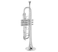 Trombe Strumento Eolico Del Tromba Del Tromba Del Tromba Dell'ottone B-flat Per Principianti In Prestazioni Professionali strumento a tromba