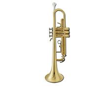 Trombe Strumento Musicale Tromba In B A B Per Principianti General Brass Tromba Brass Brass Brass Band Band strumento a tromba (Color : Gold)