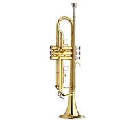 Trombe Strumento Tromba Piatto B-Flat, Principiante/Modello Di Esame strumento a tromba