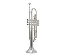 Trombe Strumento Tromba Placcato Argento B Tromba Piana Tromba Brass Vento Musica Per Principianti Principiante Esame Performance Grado Vento Band strumento a tromba