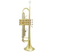 Trombe Studenti Per Principianti Per Bambini In B-flat Playing Grade Examish Lacquer Gold strumento a tromba