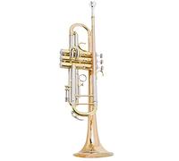 Trombe Test Di Performance Tromba Tromba Phosphor Materiale Bronzo Blottle B-flat Tone strumento a tromba
