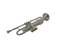 Trombe Tromba B BB Flat BB Key Full Argento Placcato Tromba Placcato Oro Placcato Gold Keys strumento a tromba