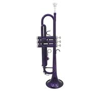 Trombe Tromba BB B Placcato In Argento Placcato Argento Squisito Con Portafoglio Di Pulizia Spazzola Guanti Guanti strumento a tromba (Color : Purple)