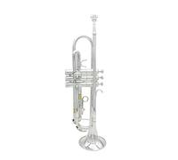 Trombe Tromba BB B Tromba Durevole In Ottone Resistente Con Un Bocchino Placcato Argento Un Paio Di Guanti E Sacchetto Di Gig Squisito strumento a tromba (Color : Silver)