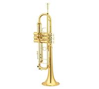 Trombe Tromba Classica Laccata In Oro Di Alta Qualità strumento a tromba