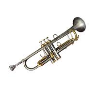 Trombe Tromba Del Pistone Dell'argento Dell'argento Antico Dell'argento Anziano strumento a tromba