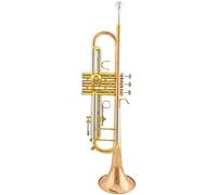 Trombe Tromba Fosphor Bronzo Bocchino Cupronickel Tube Diaphonic Tube Gold strumento a tromba