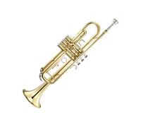 Trombe Tromba In Ottone Principiante Amatoriale Tromba Tromba Strumento Musicale Professionale Playing B Tromba A Chiave Piatta strumento a tromba (Color : Gold)