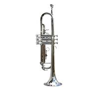 Trombe Tromba In Ottone Principiante Amatoriale Tromba Tromba Strumento Musicale Professionale Playing B Tromba A Chiave Piatta strumento a tromba (Color : Silver)