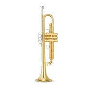 Trombe Tromba Strumento Musicale B-Flat Tromba Performance Professionale Per Bambini E Principianti Adulti strumento a tromba (Color : Gold)