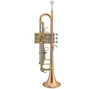 Trombe Tromba Tromba Tromba BB B Banda In Ottone Piatto Tromba strumento a tromba