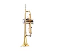 Trombe Trumba BB Laccato Tromba Musicale In Oro strumento a tromba