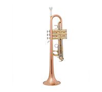 Trombe Tubo In Ottone C Tono Piccolo Tromba Regolabile Doppio Corno In Oro Placcato Superficie Professionale Di Musica Professionale strumento a tromba