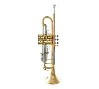 Trombe Uno Strumento Tromba In Corno In Oro Laccato B-flat Per Principianti strumento a tromba