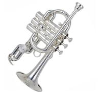Trombette Bb Professionale Placcato Argento Piccolo Tromba Acciaio Inox Standard Principiante Tromba Tono