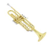 Trombette Set Di Trombe Standard In Sib Guanti Trombe Dipinte In Oro Strumento Per Principianti E Studenti(Gold)