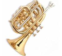Trombette Strumento In Ottone Tromba Tascabile In Sib Suono Ricco Tromba Standard Professionale Acciaio Inossidabile