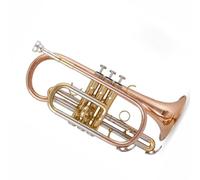 Trombette Strumento Tromba Cornetta In Si Bemolle Per Principianti Professionale In Ottone Argentato Resistente Tono(Brass)
