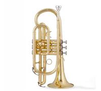 Trombette Strumento Tromba Cornetta In Si Bemolle Per Principianti Professionale In Ottone Argentato Resistente Tono(Gold)