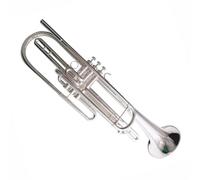 Trombette Tromba Bassa In Sib Strumenti Musicali Lacca Argento Nichelato Acciaio Inossidabile Ottone Principiante Strumento Standard(Nickel plated)