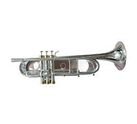 Trombette Tromba Bc Tromba Argentata Tromba Piccola In Ottone Strumento Musicale Tromba Professionale Strumento Per Principianti(Silver)