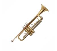 Trombette Tromba In Sib Strumento A Tre Toni Principiante Professionale Portatile Tono Standard(PhosphorBronze)